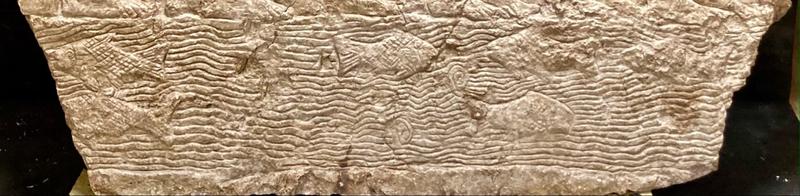 Detail of a river from a neo-Assyrian relief of Babylonian prisoners taken into captivity AN1971_994_detail_of _river