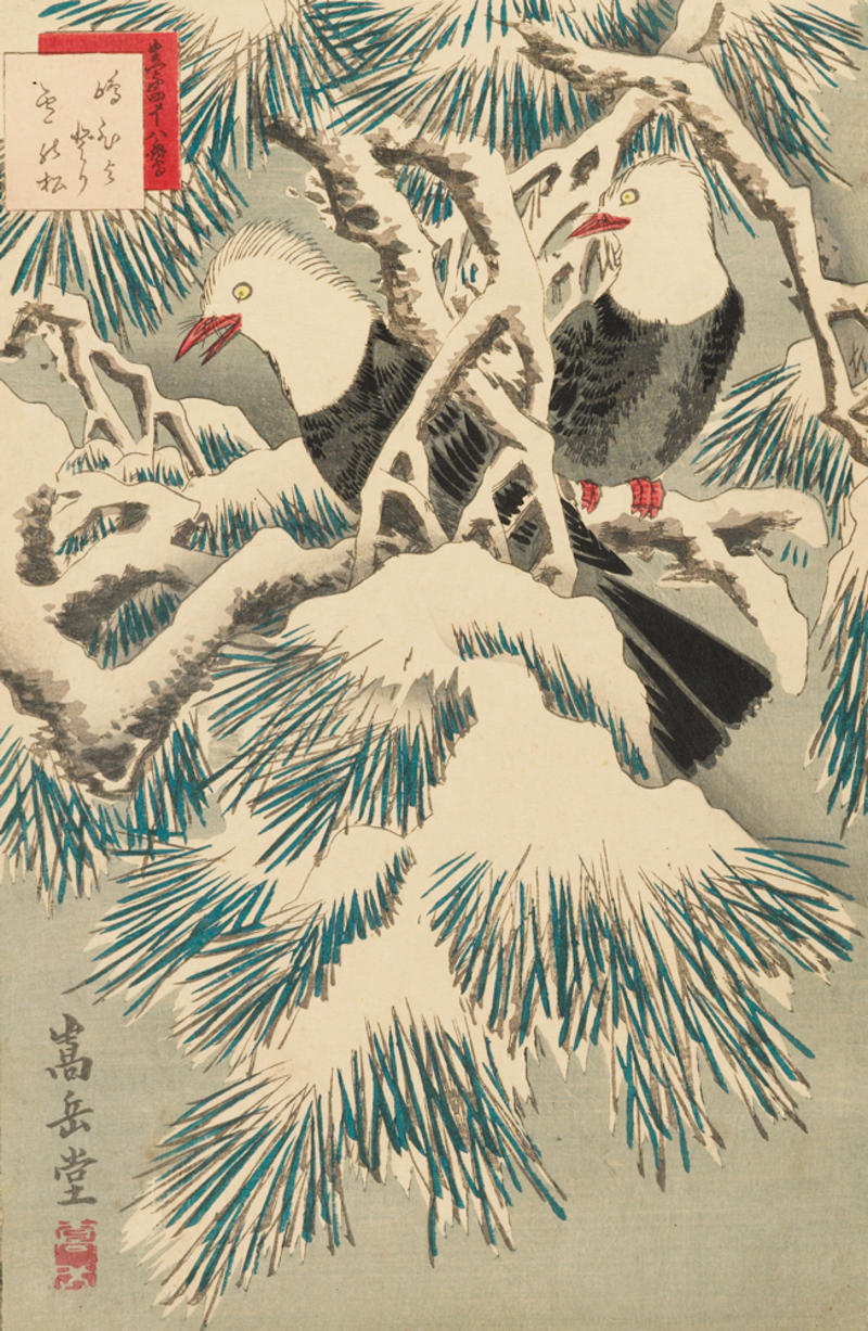 Island Bulbuls on snow-covered pine, Colour woodblock print by Nakayama Sūgakudō