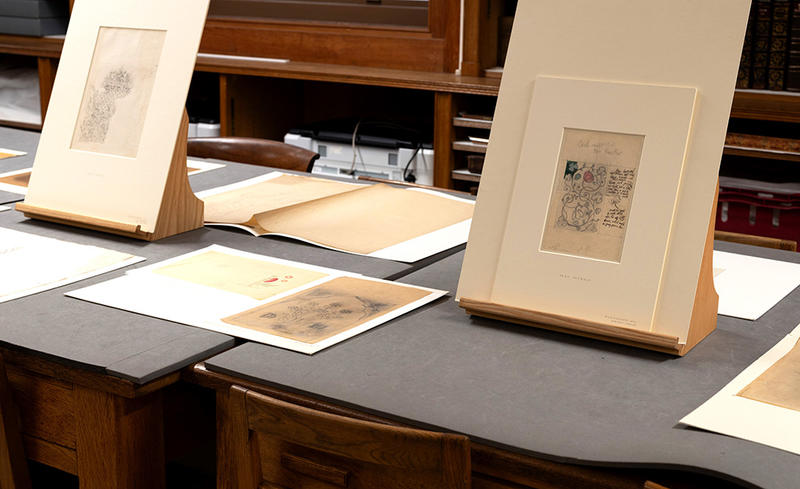 May Morris embroidery designs and patterns displayed in the New Douce Room 