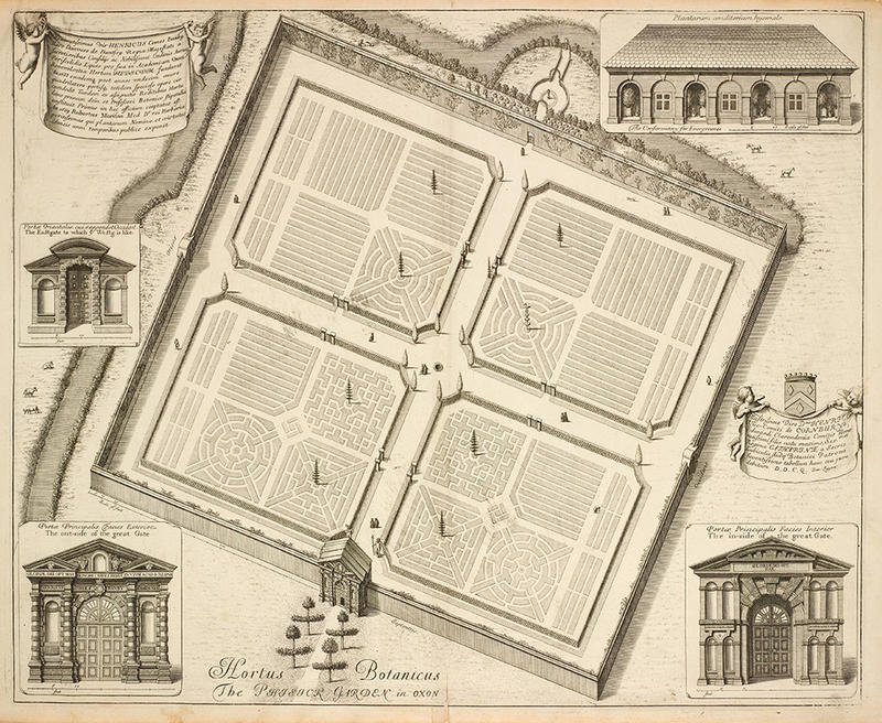 A garden plan engraving of the Oxford Phisick Garden (nowadays the Botanic Garden) that's from the 17th-century