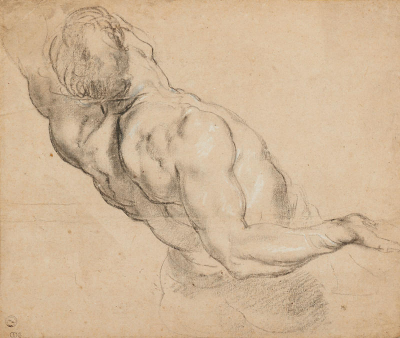 Peter Paul Rubens (1577–1640), Study of a Nude Male Torso, c.1610 WA1855.154 Charcoal study by Peter Paul Rubens of the study of a nude male torso and head from behind