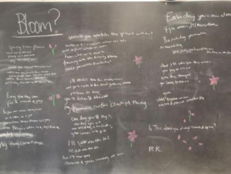 A poem titled Bloom by Rachel Robinson, written on a blackboard