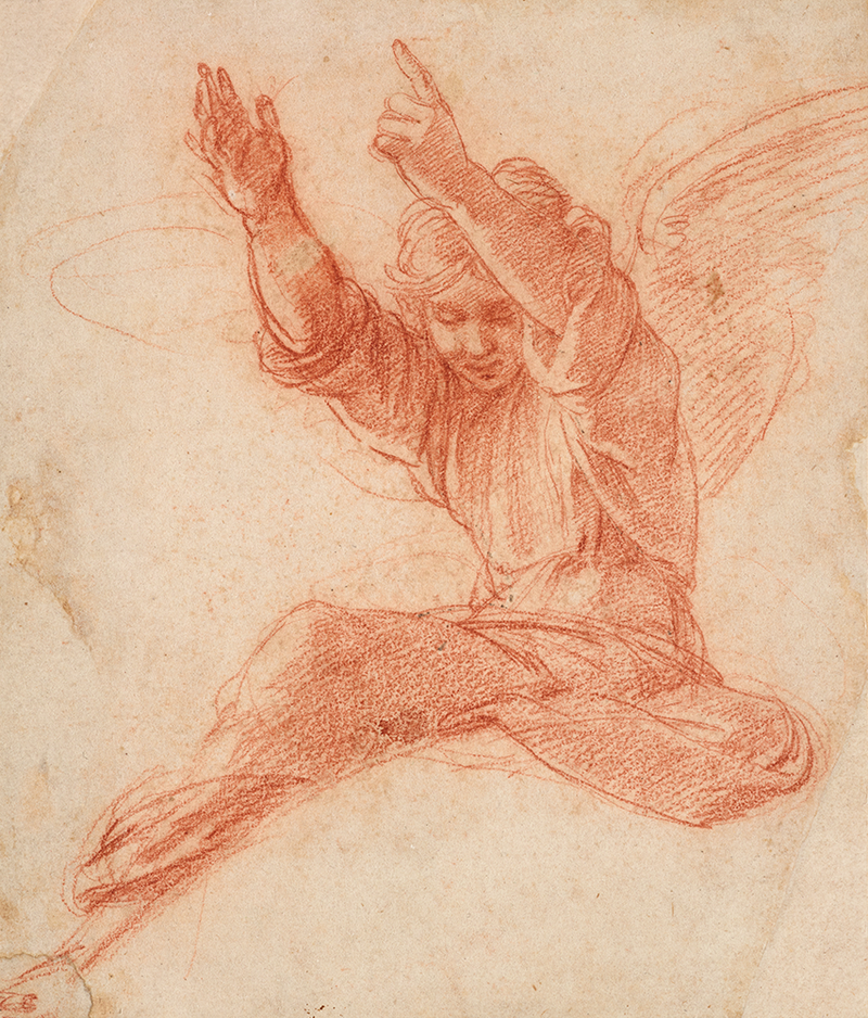 Raphael Angel