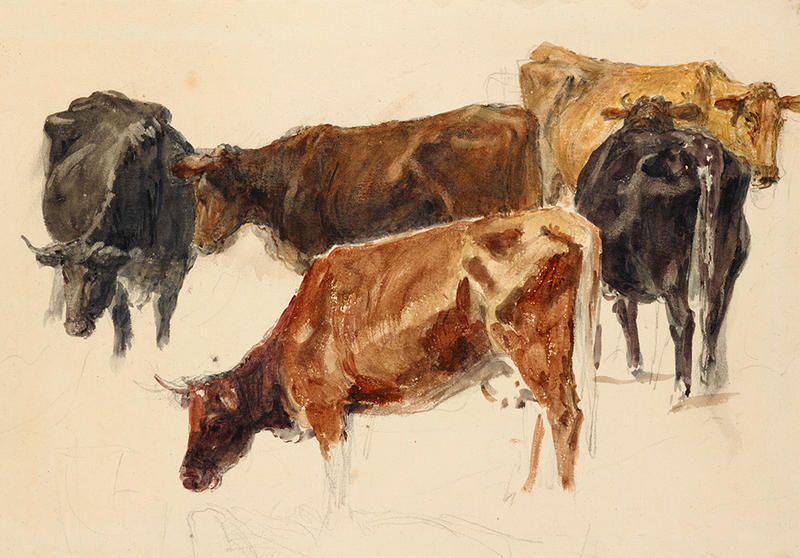 Study of a group of cows watercolour by J.M.W. Turner, c. 1791