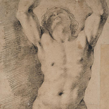 Study of a nude youth with arms raised, 1618–1621, Giovanni Francesco Barbieri, known as Guercino (1591–1666) © Ashmolean Museum, WA1959.18 Detail of a drawing by Guercino of a nude man with arms stretching into the air