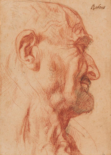 Jordaens drawing of a man's head