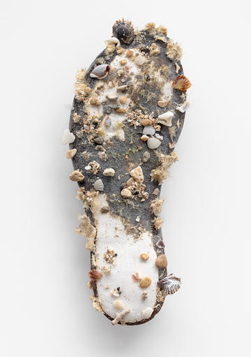 Print of a a flip flop covered in shells and barnacles, by artist Mike Perry, featured in his Land / Sea exhibition