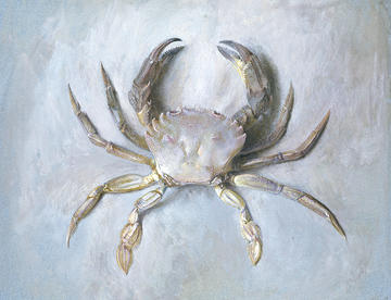 A watercolour painting of a purple crab on similar colour backgroun
