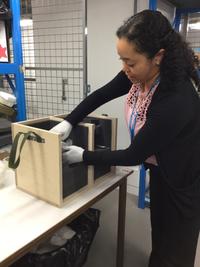 Registrar Aisha Burtenshaw handling and packaging objects at the Ashmolean Registrar Aisha Burtenshaw packages objects at the Museum