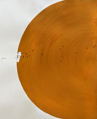 Section of the Between the Sea and the Sky 30-foot scroll artwork by Soma Surovi Jannat showing an orange half globe and tiny bees and ants