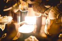 Close up of a light installation made up of ceramics